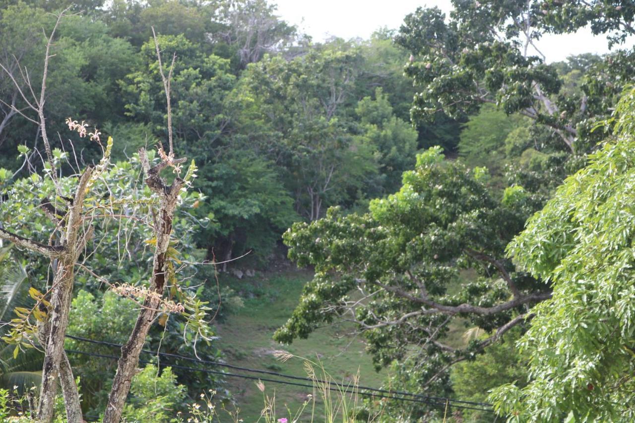 Villa Mahogany Le Gosier  Luaran gambar