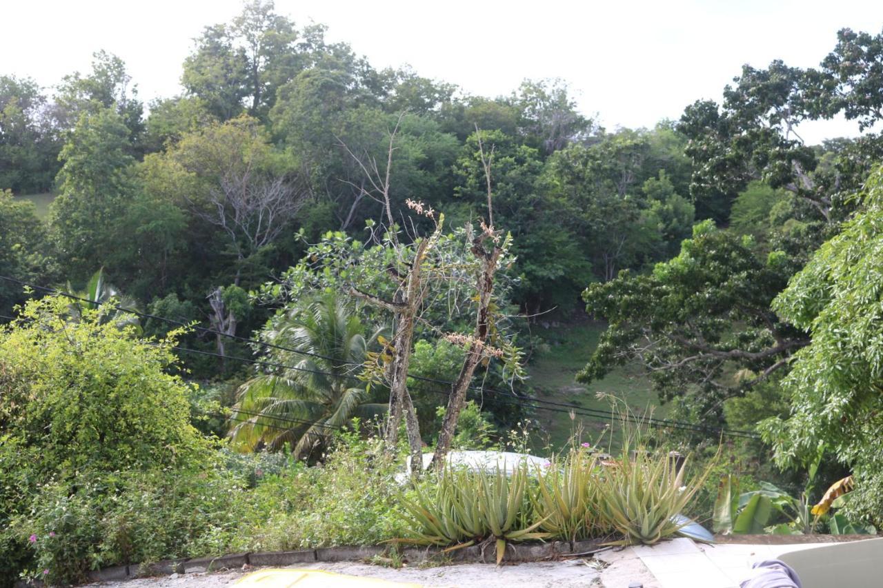 Villa Mahogany Le Gosier  Luaran gambar